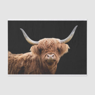 Papier Mousseline Ellie, le Highland Coo