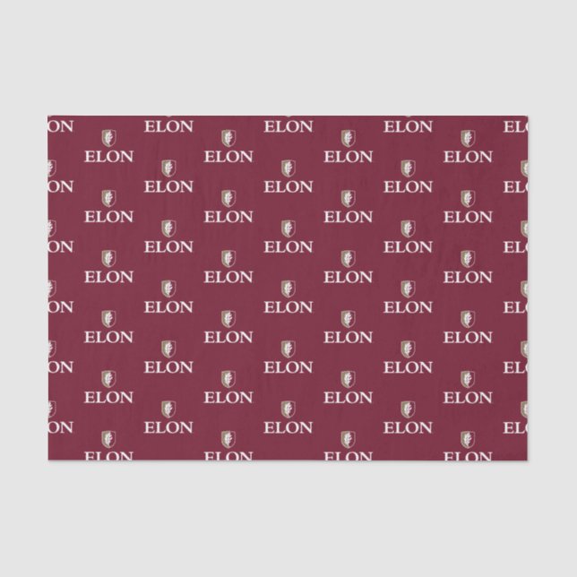 Papier Mousseline Elon | Diplômé 20XX (Recto)
