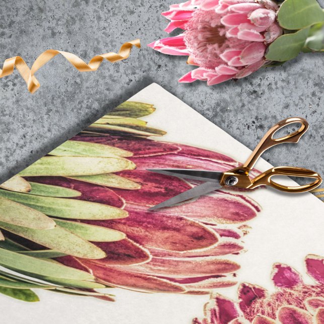Papier Mousseline Emballage de faveur floral de protea rose botaniqu (Créateur téléchargé)