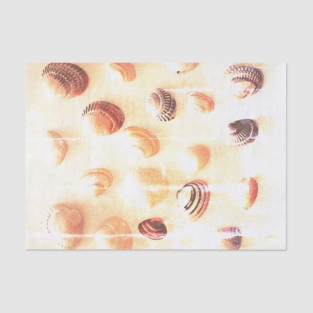 Papier Mousseline Empreinte photo en coquillage de plage artisanat d (Recto)