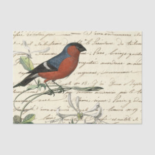 Papier Mousseline Ephemera Bird et Script