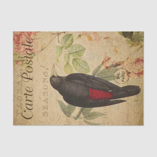 Papier Mousseline Ephemera Black Red Bird Rose Roses Pink Découpage (Recto)