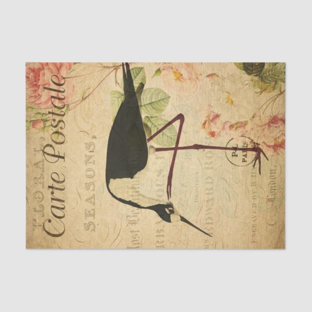 Papier Mousseline Ephemera Carte Postale Française Avocent Bird Deco (Recto)
