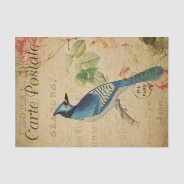 Papier Mousseline Ephemera Carte Postale Française Blue Jay Déchoupa (Recto)