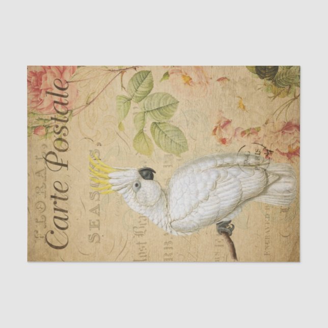 Papier Mousseline Ephemera Carte Postale Française Cockatoo Déchoupa (Recto)