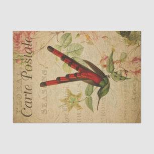 Papier Mousseline Ephemera Carte Postale Française Hummingbird Decou