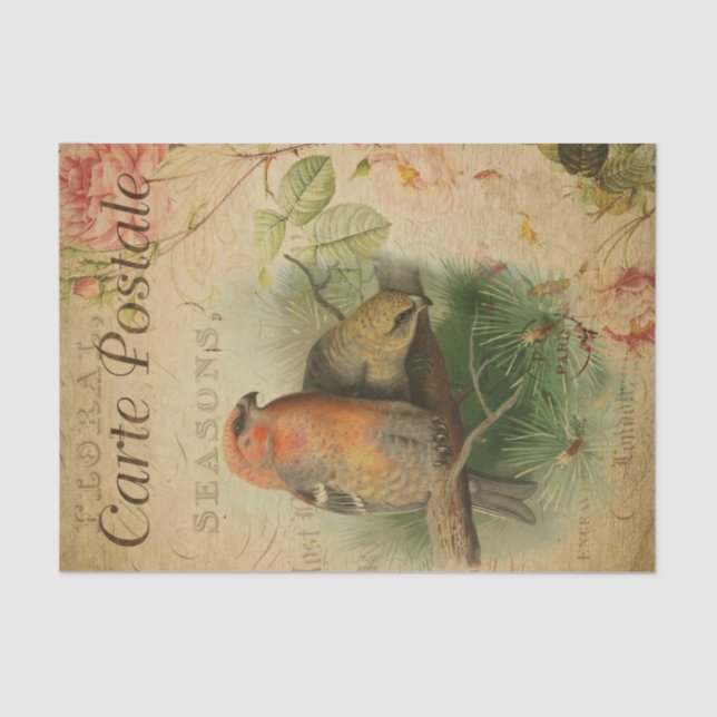 Papier Mousseline Ephemera Carte Postale Française Oiseaux Découpage (Recto)