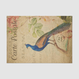 Papier Mousseline Ephemera Carte Postale Française Peacock Découpage