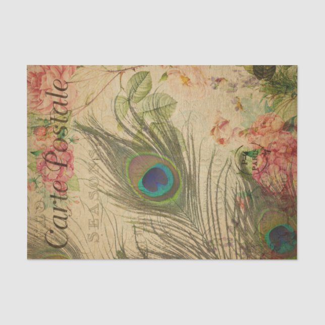 Papier Mousseline Ephemera Carte Postale Française Peacock Plumes Dé (Recto)