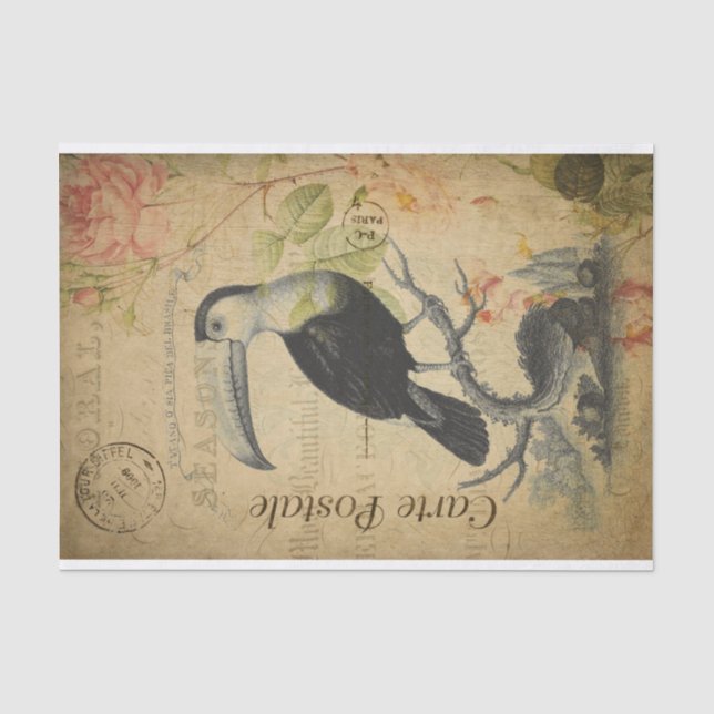 Papier Mousseline Ephemera Carte Postale Française Toucan Bird Decou (Recto)