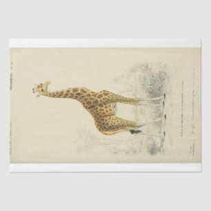 Papier Mousseline Ephemera Decoupage Giraffe