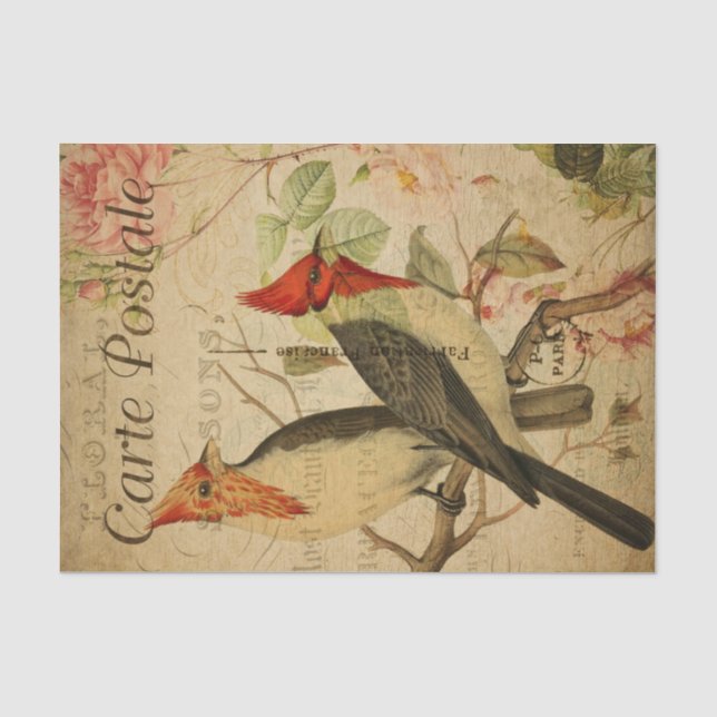Papier Mousseline Ephemera Deux Oiseaux tisserandes Roses Roses Rose (Recto)