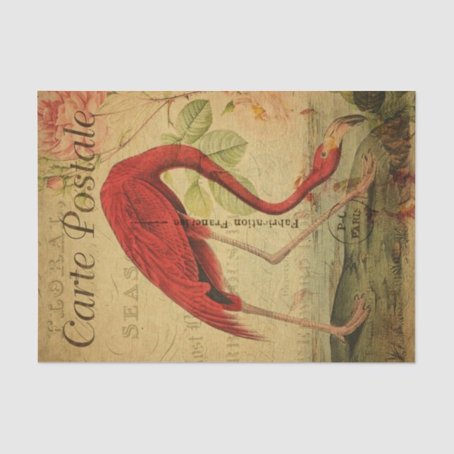 Papier Mousseline Ephemera Flamant rose de carte postale française F (Recto)