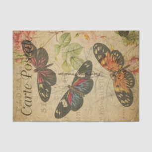 Papier Mousseline Ephemera French Postcard Butterflies Decoupage