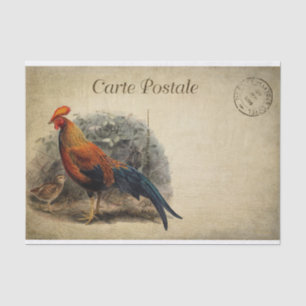 Papier Mousseline Ephemera French Postcard Roster Chick Decoupage