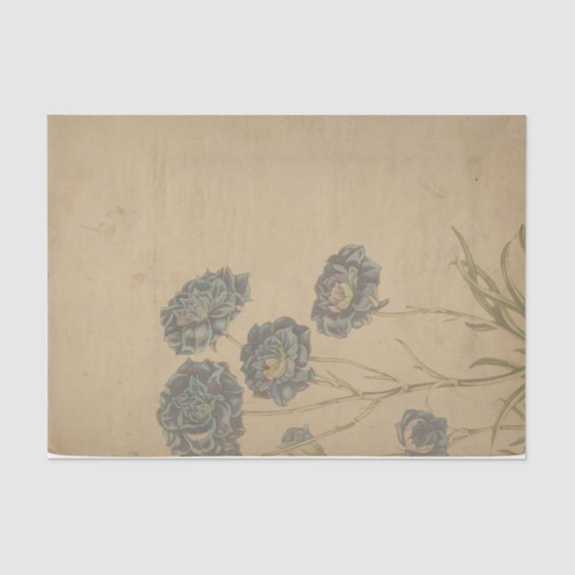 Papier Mousseline Ephemera Sheet Design Series #1 (Recto)