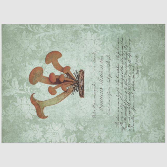 Papier Mousseline Ephémère aux champignons série de conception #2 (Recto)