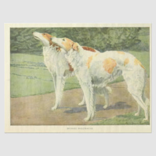 Papier Mousseline Ephémère Chien vintage Découpage Wolfhounds Russes