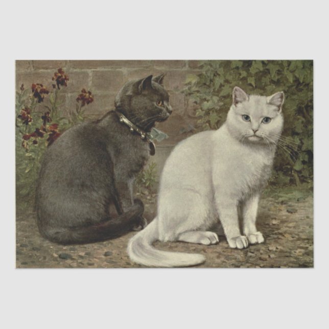 Papier Mousseline Ephémère de chat gris et blanc Découpage (Recto)