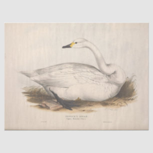 Papier Mousseline Ephémère de cygne blanc d'oiseaux Découpage Vintag