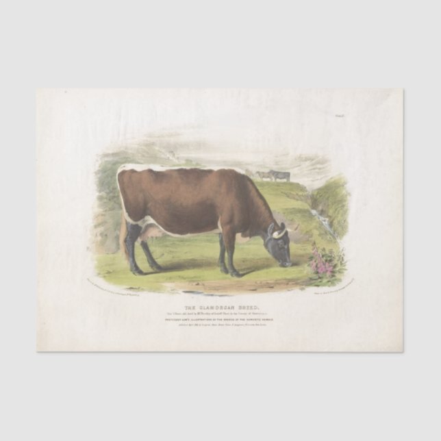 Papier Mousseline Éphémère de pâturage de vache Brown Découpage ferm (Recto)