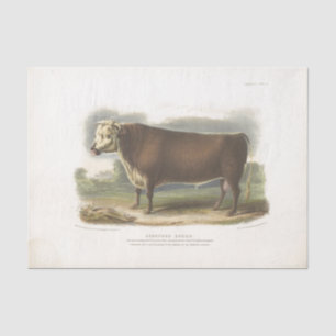 Papier Mousseline Ephémère de vache Brown Découpage Ferme Vintage Ti