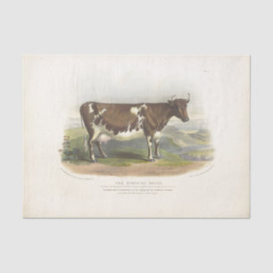 Papier Mousseline Éphémère de vache tachetée Brown Découpage ferme V