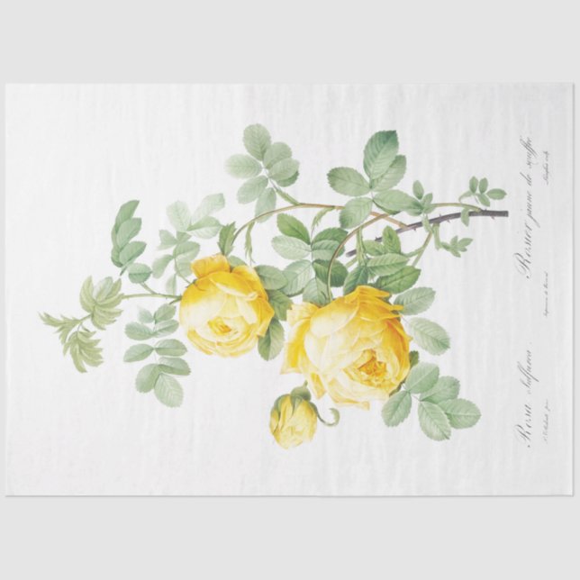 Papier Mousseline Ephémère florale de roses jaunes Découpage (Recto)