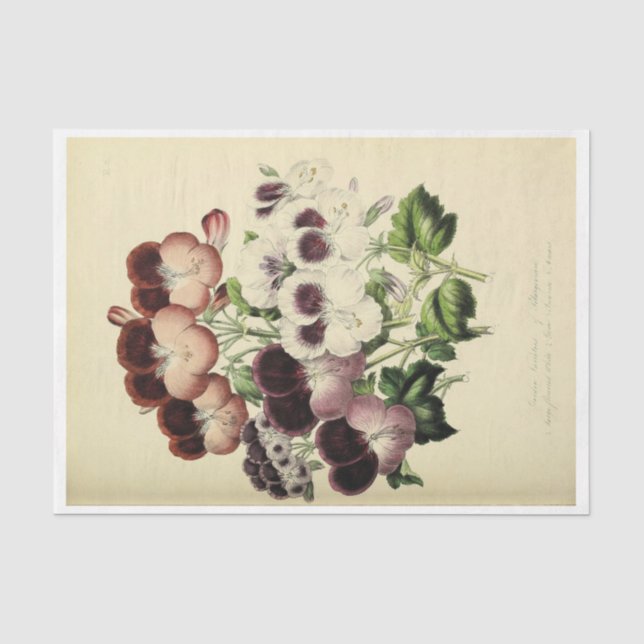 Papier Mousseline Ephémère florale Découpage blanc violet (Recto)
