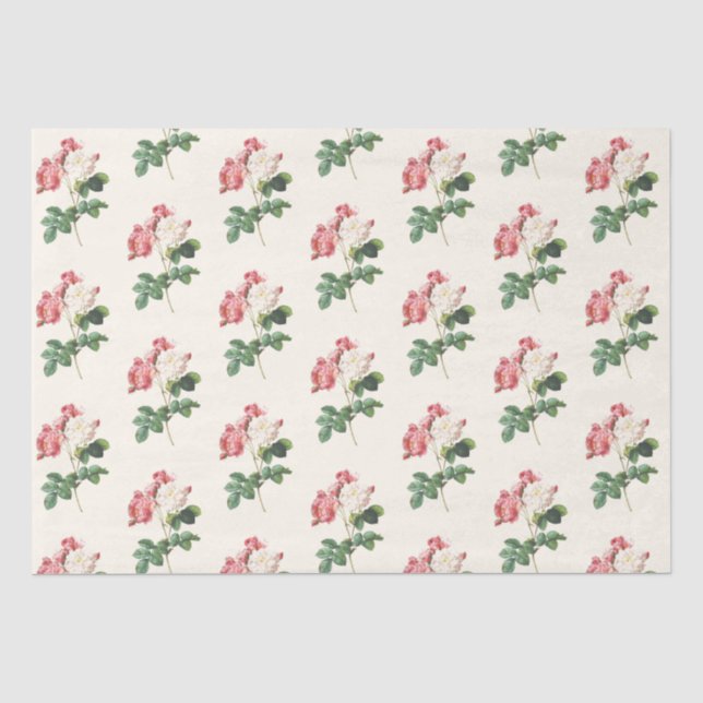 Papier Mousseline Ephémère florale Découpage Rose Motif de crème (Recto)