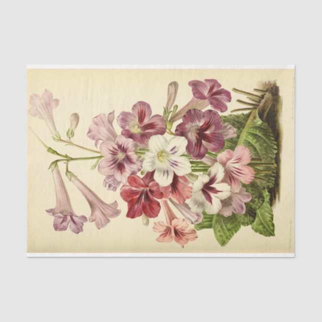 Papier Mousseline Ephémère florale Découpage rose violet Fleurs (Recto)