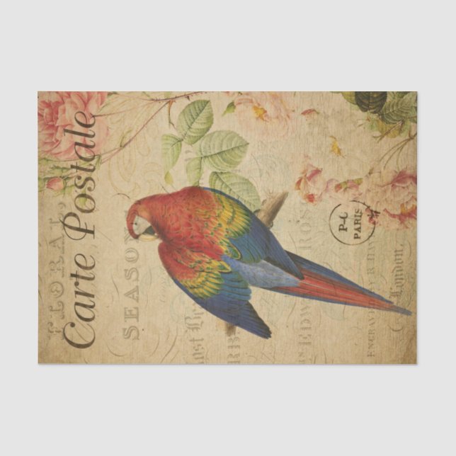 Papier Mousseline Ephémère française Rouge Jaune Macaw Floral Découp (Recto)