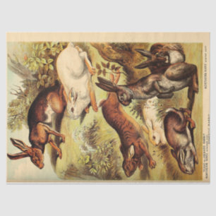Papier Mousseline Ephémère lapin lièvre vintage Découpage