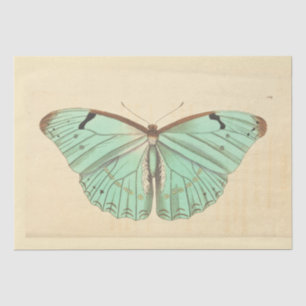 Papier Mousseline Ephémère papillon bleu vintage Découpage Turquoise