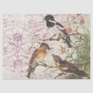 Papier Mousseline Ephémérite Birds Series Design Dix-sept