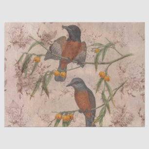 Papier Mousseline Ephémérite Birds Series Design Trois