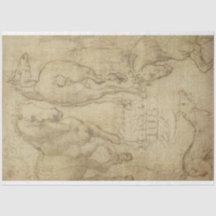 Étude d'un document de découpage de cheval