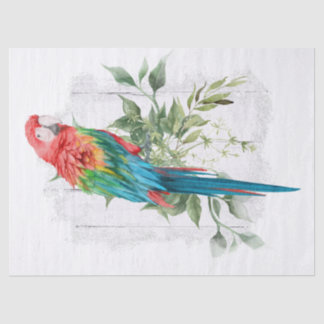Papier Mousseline Eucalyptus du perroquet macaw