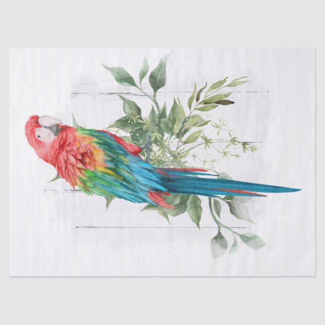 Papier Mousseline Eucalyptus du perroquet macaw (Recto)