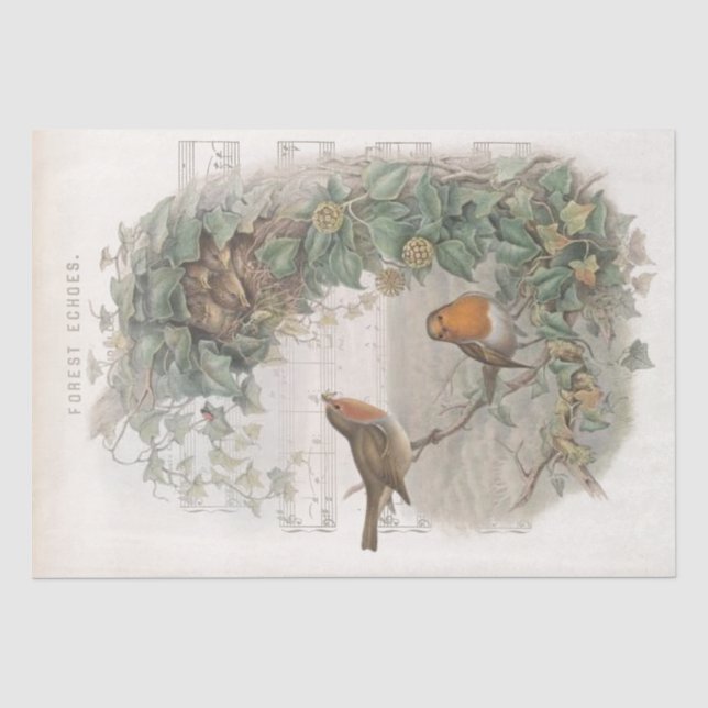 Papier Mousseline European Robin Bird Nest Vines Old Music Decoupage (Recto)