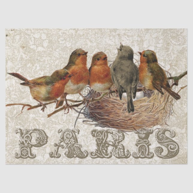 Papier Mousseline European Robin Birds Nest Paris Decoupage (Recto)