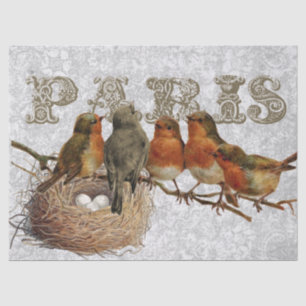 Papier Mousseline European Robin Birds Nest Paris Découpage Vintage