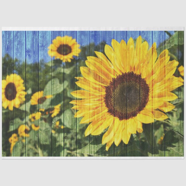 Papier Mousseline Fence painted de Sunflowers (Recto)