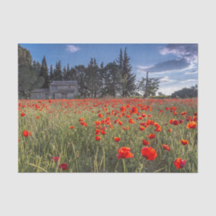 Papier Mousseline Ferme en pierre avec un champ de tulipes rouge rub