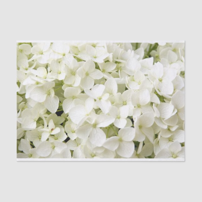 Papier Mousseline Fête d'été de l'hortensia blanc  (Recto)