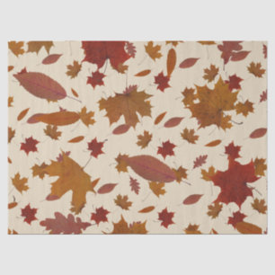 Papier Mousseline Feuille d'automne d'or sur la couleur crème faite