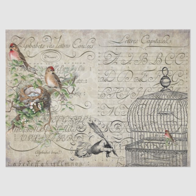 Papier Mousseline Feuille de Decoupage d'éphémères d'oiseau (Recto)