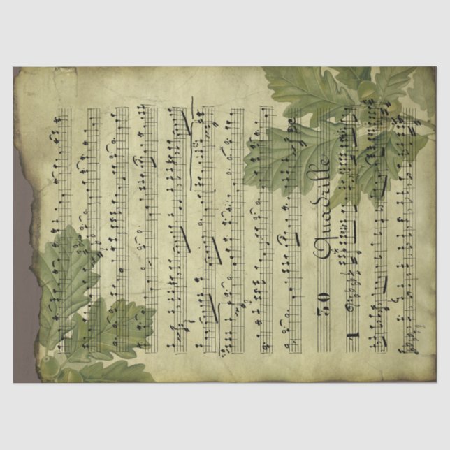 Papier Mousseline Feuille de musique et Feuilles sur la page Découpa (Recto)
