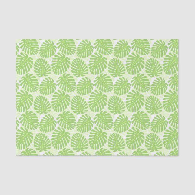 Papier Mousseline Feuille de plante tropicale - motif de Monstera (Recto)