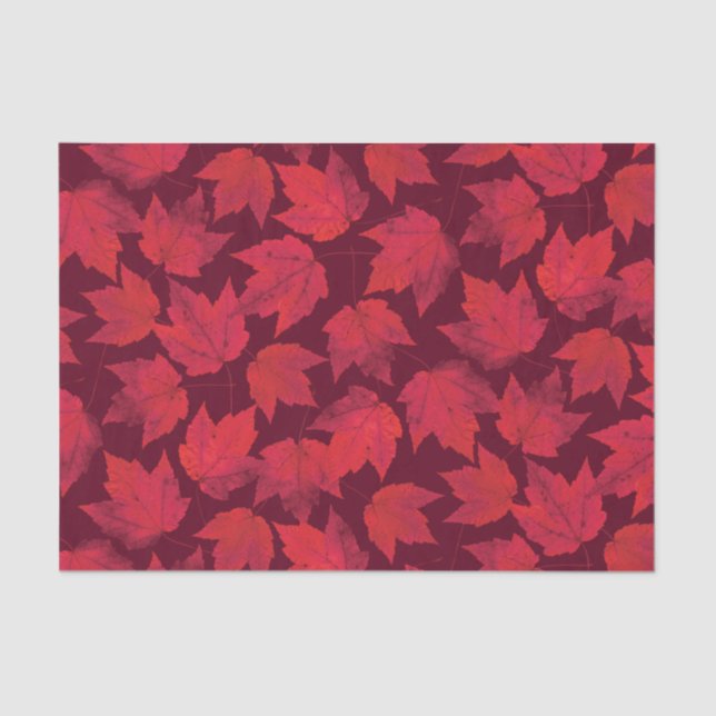 Papier Mousseline Feuille d'érable rouge d'automne (Recto)